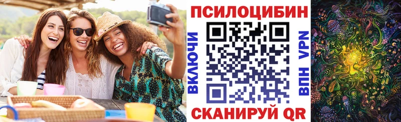 даркнет сайт  Дорогобуж  Галлюциногенные грибы Cubensis 